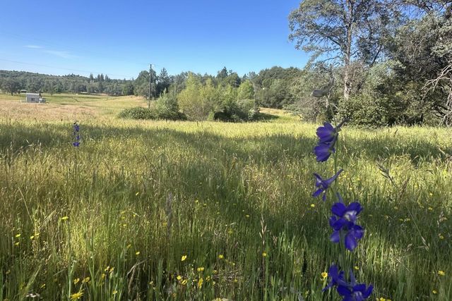 7436 Eagle View Dr, Mountain Ranch, CA 95246