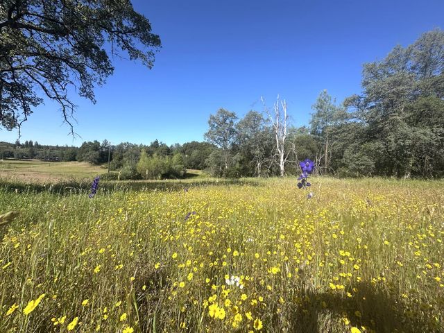 7436 Eagle View Dr, Mountain Ranch, CA 95246