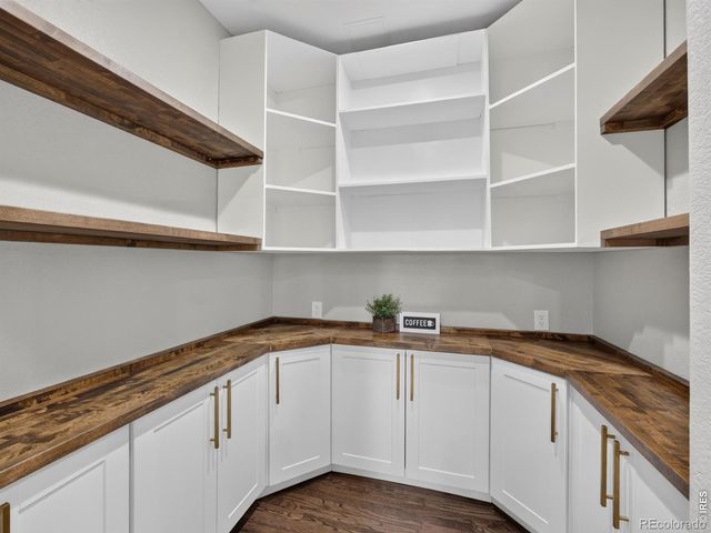 1081 Foursome Drive, Castle Rock, CO 80104