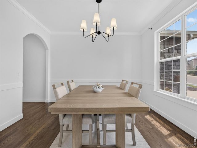 1081 Foursome Drive, Castle Rock, CO 80104