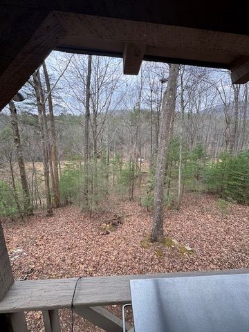 123 Martins Bluff, Blairsville, GA 30512