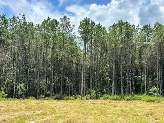 TBD County Road 4210, Woodville, TX 75979