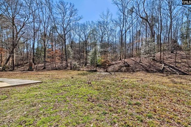 283 Woodthrush Road, Chapin, SC 29036