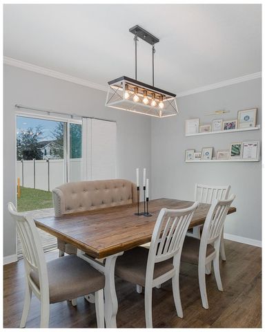 16957 SECRET MEADOW DRIVE, Odessa, FL 33556