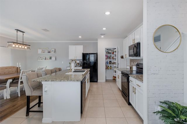 16957 SECRET MEADOW DRIVE, Odessa, FL 33556