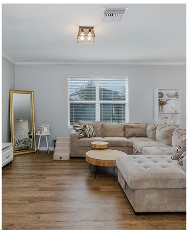 16957 SECRET MEADOW DRIVE, Odessa, FL 33556