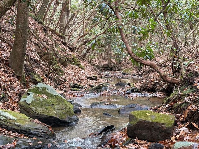 691 Mitchell Branch Road, Morganton, GA 30560