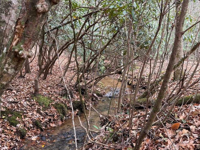 691 Mitchell Branch Road, Morganton, GA 30560