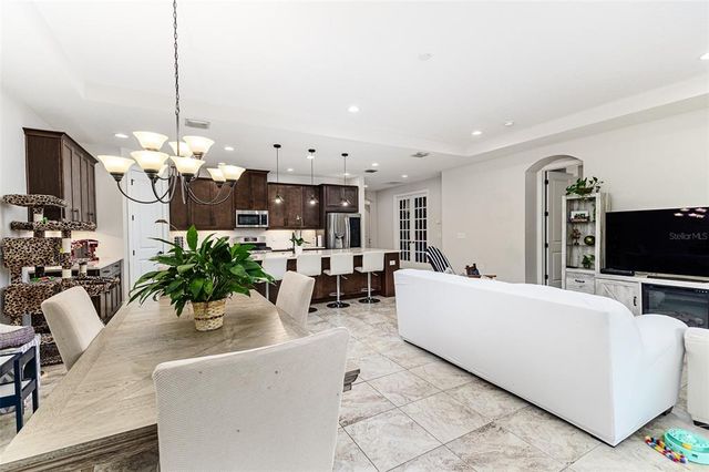 20159 UMBRIA HILL DRIVE, Tampa, FL 33647