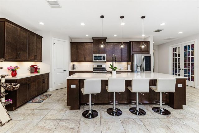 20159 UMBRIA HILL DRIVE, Tampa, FL 33647