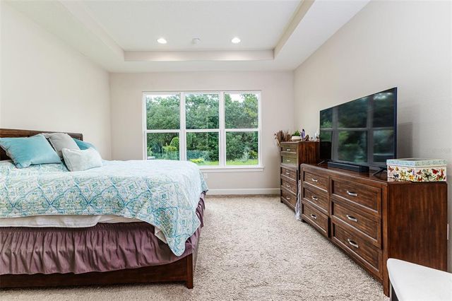 20159 UMBRIA HILL DRIVE, Tampa, FL 33647