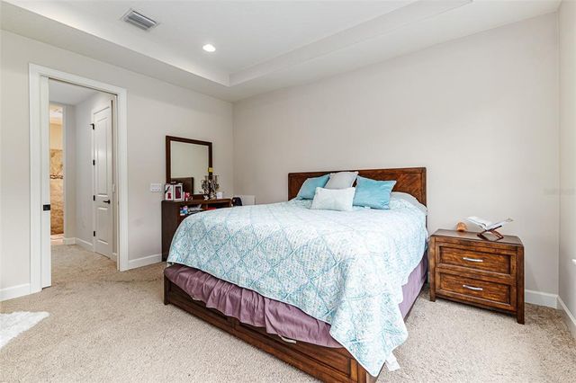 20159 UMBRIA HILL DRIVE, Tampa, FL 33647