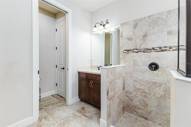 20159 UMBRIA HILL DRIVE, Tampa, FL 33647