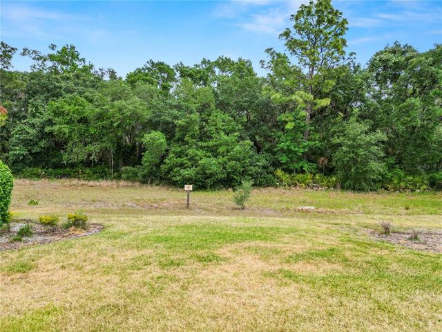 20159 UMBRIA HILL DRIVE, Tampa, FL 33647
