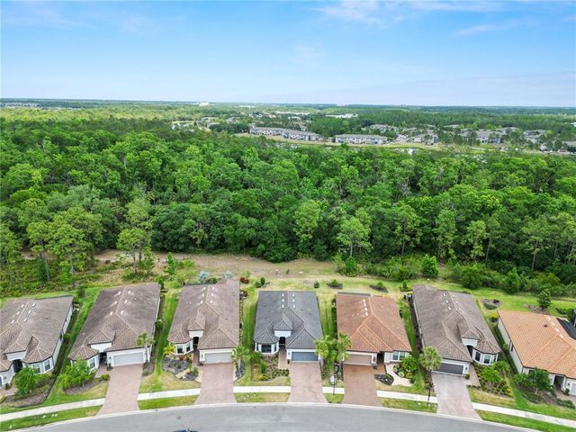 20159 UMBRIA HILL DRIVE, Tampa, FL 33647