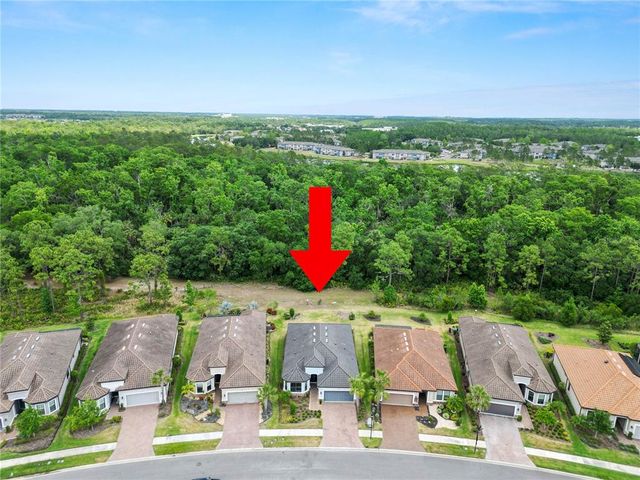 20159 UMBRIA HILL DRIVE, Tampa, FL 33647