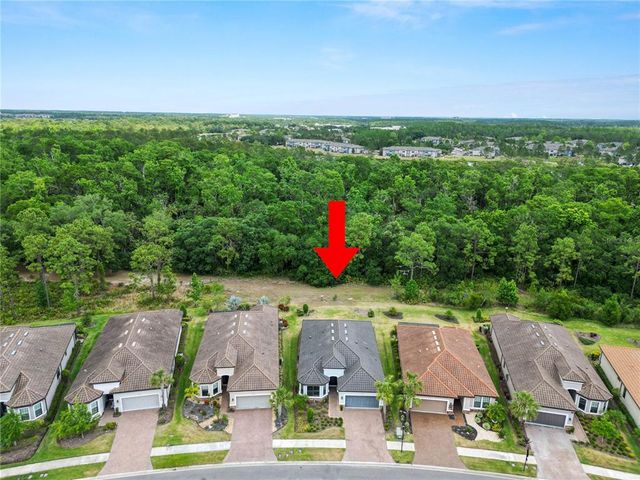 20159 UMBRIA HILL DRIVE, Tampa, FL 33647