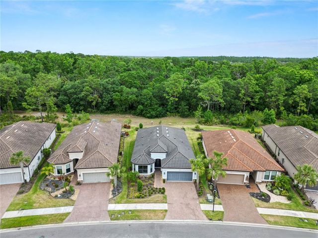 20159 UMBRIA HILL DRIVE, Tampa, FL 33647