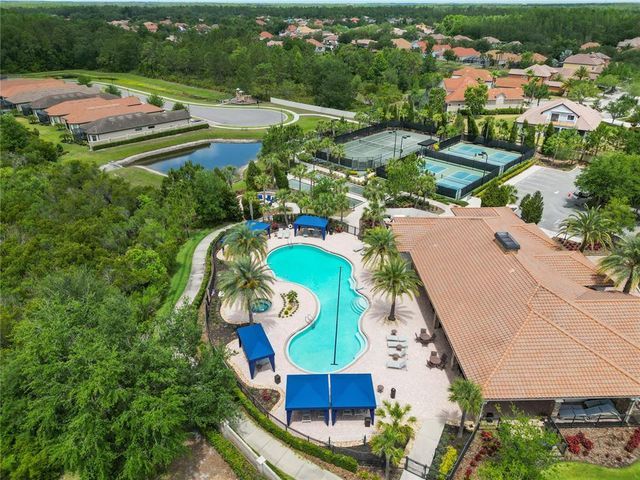 20159 UMBRIA HILL DRIVE, Tampa, FL 33647