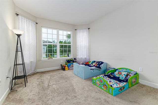 20159 UMBRIA HILL DRIVE, Tampa, FL 33647