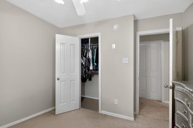 24211 Soft Pine Drive, Houston, TX 77336