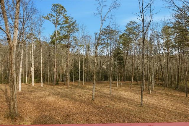221 Grindstone Creek Drive, Clarkesville, GA 30523