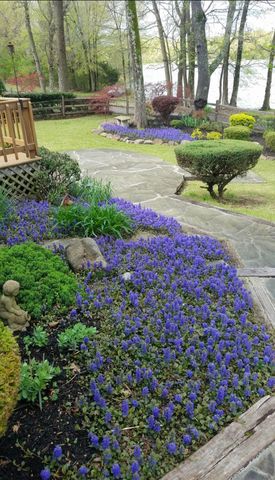 8712 RIVER HOLLOW DR, Memphis, TN 38016