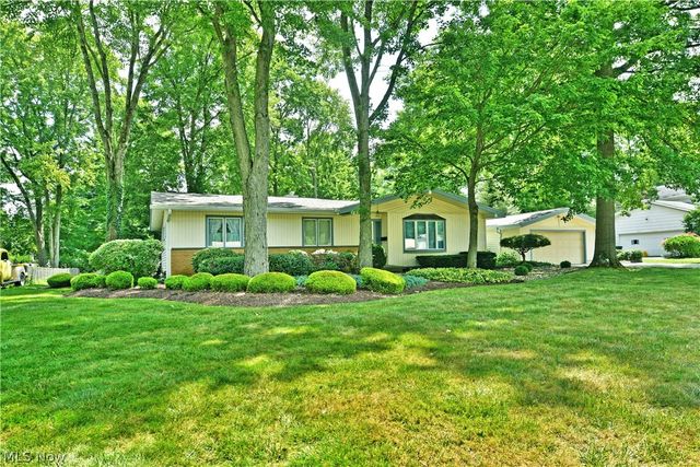 221 Southview Road, Canfield, OH 44406