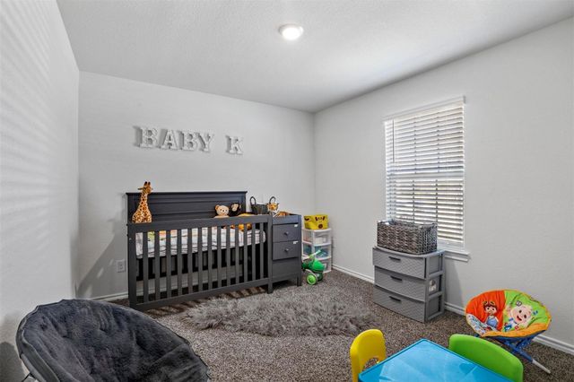 3000 Buttonbush Drive, Royse City, TX 75189