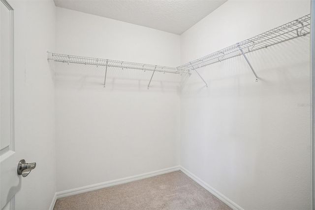 11540 CROWNED SPARROW LANE, Tampa, FL 33626