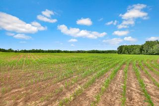 374XX-S40 Hemingway, North Branch, MN 55056