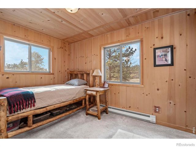 151 Mount Massive Drive, Livermore, CO 80536