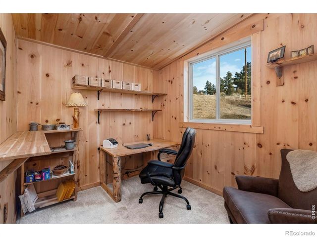 151 Mount Massive Drive, Livermore, CO 80536