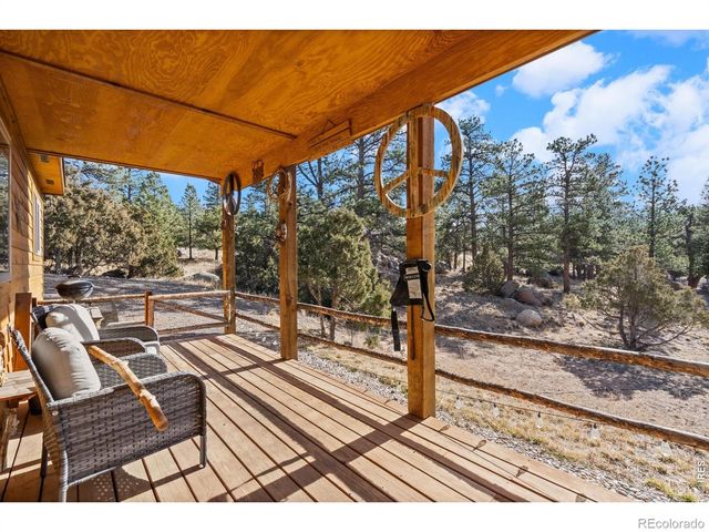 151 Mount Massive Drive, Livermore, CO 80536
