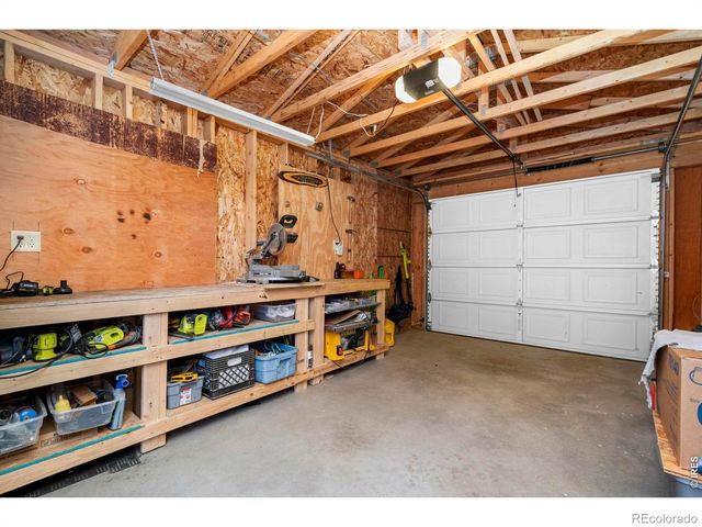 151 Mount Massive Drive, Livermore, CO 80536