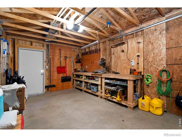 151 Mount Massive Drive, Livermore, CO 80536