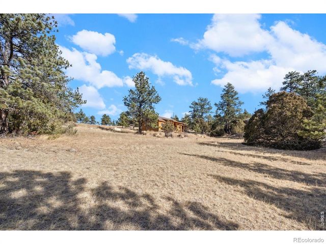 151 Mount Massive Drive, Livermore, CO 80536