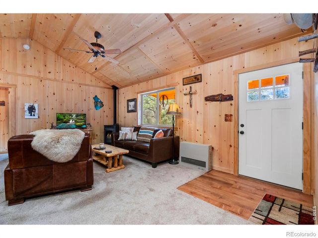 151 Mount Massive Drive, Livermore, CO 80536