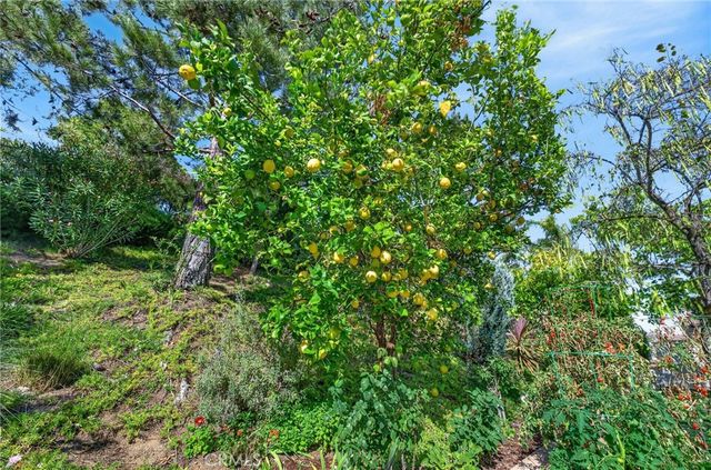 27306 Sweetspire Terrace Place, Murrieta, CA 92562