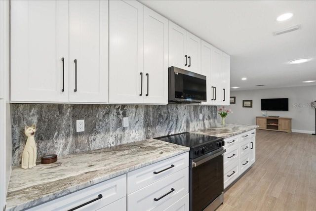 12212 SNEAD PLACE, Tampa, FL 33624