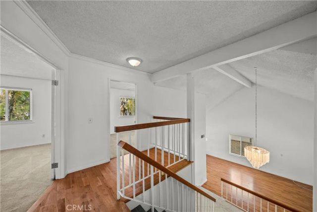 20456 Calhaven, Saugus, CA 91390