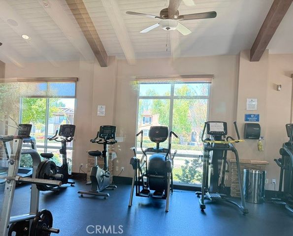14559 Norfolk, Chino, CA 91710