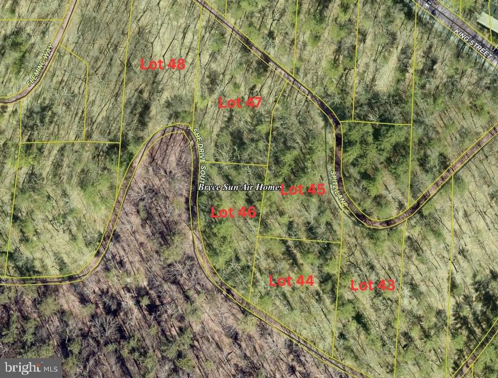 LOT 44 ASHE DR, Basye, VA 22810