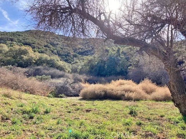 0 Calle Rosalito, Green Valley, CA 91390