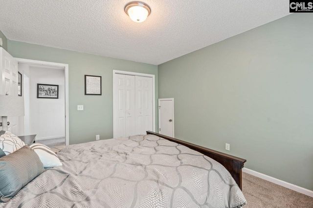 137 Fresh Spring Way, Lexington, SC 29072