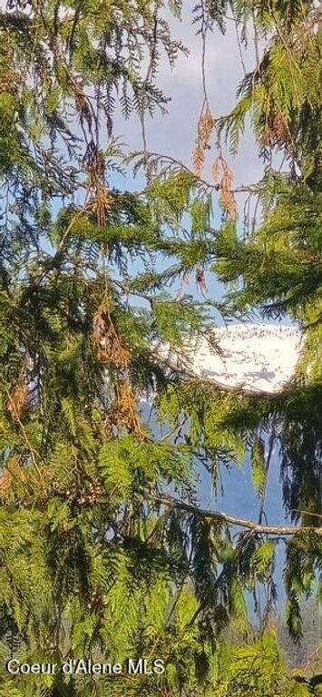 458 Kirby Mountain Rd, Hope, ID 83836 photo 45