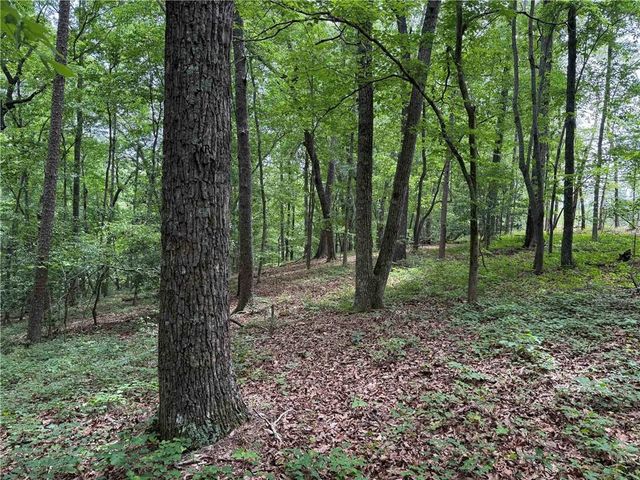 46 Norton Lane, Dahlonega, GA 30533