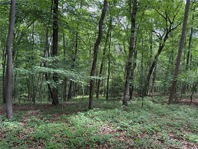 46 Norton Lane, Dahlonega, GA 30533