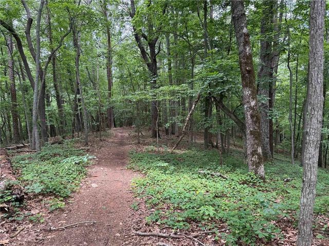 46 Norton Lane, Dahlonega, GA 30533