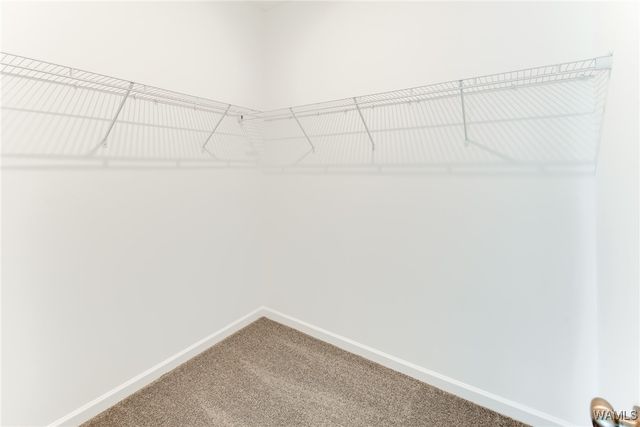 10402 Patton, Tuscaloosa, AL 35405